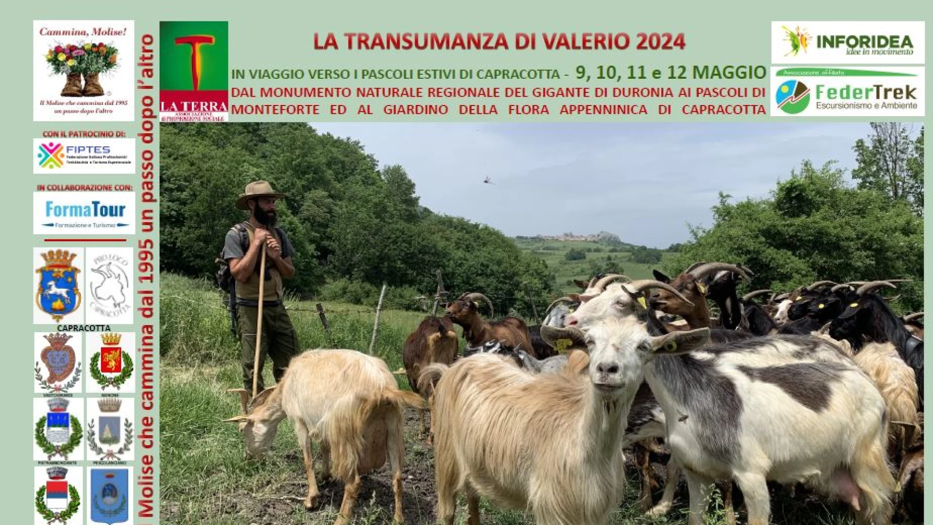 Transumando con le capre di Valerio, al via l’edizione 2024.